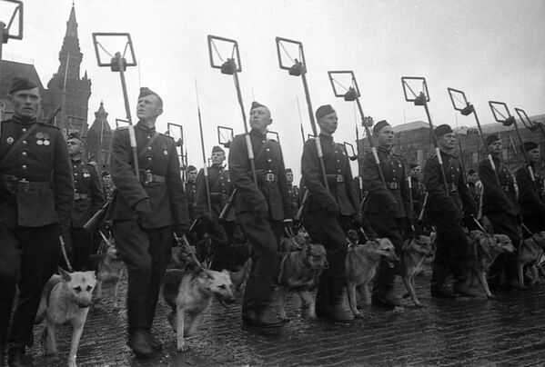 Минеры с собаками минно-розыскной службы на Параде Победы на Красной площади 24 июня 1945 года - Sputnik Lietuva