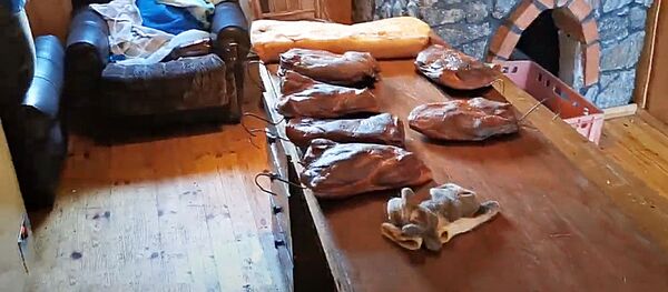 В Литве обнаружили нелегальный цех по производству мяса В Литве обнаружили нелегальный цех по производству мяса - Sputnik Литва