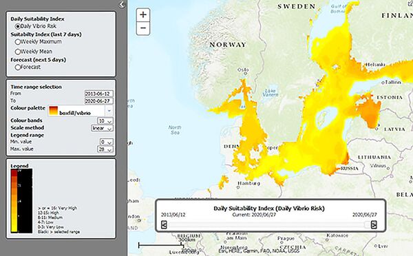 ULAC: Baltijos jūroje susidarė palankios sąlygos daugintis Vibrio bakterijoms ULAC: Baltijos jūroje susidarė palankios sąlygos daugintis Vibrio bakterijoms - Sputnik Lietuva