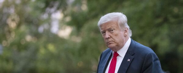 Президент США Дональд Трамп - Sputnik Литва