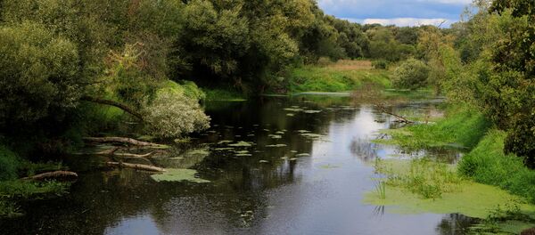 Река Невежис, Литва Река Невежис, Литва - Sputnik Литва
