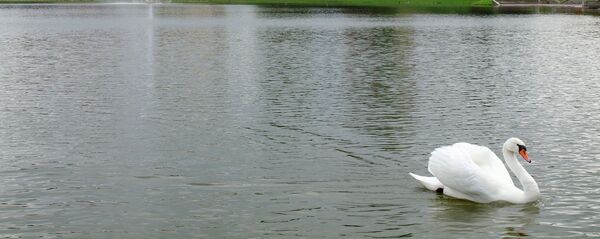 Река Невежис, Литва - Sputnik Литва