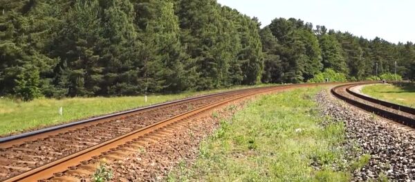 Klaipėdos savivaldybė nepritaria siūlymams geležinkelio infrastruktūros mazgą toliau nuo miesto centro perkelti Girulių miško sąskaita Klaipėdos savivaldybė nepritaria siūlymams geležinkelio infrastruktūros mazgą toliau nuo miesto centro perkelti Girulių miško sąskaita - Sputnik Lietuva