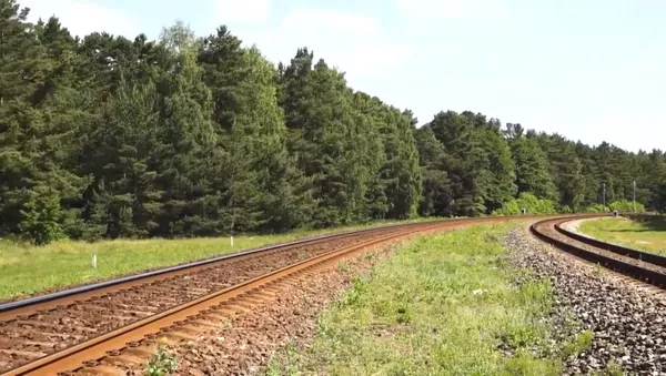 Klaipėdos savivaldybė nepritaria siūlymams geležinkelio infrastruktūros mazgą toliau nuo miesto centro perkelti Girulių miško sąskaita