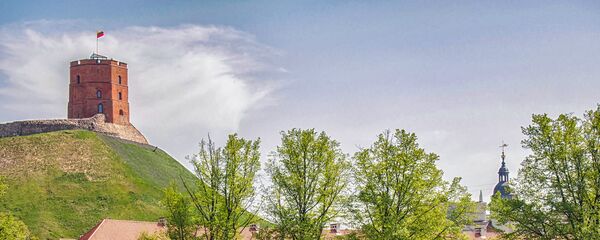 Город Вильнюс и башня Гедиминаса над ним - Sputnik Литва