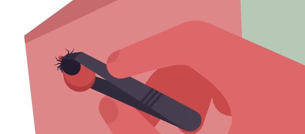 Как защититься от клещей  - Sputnik Литва