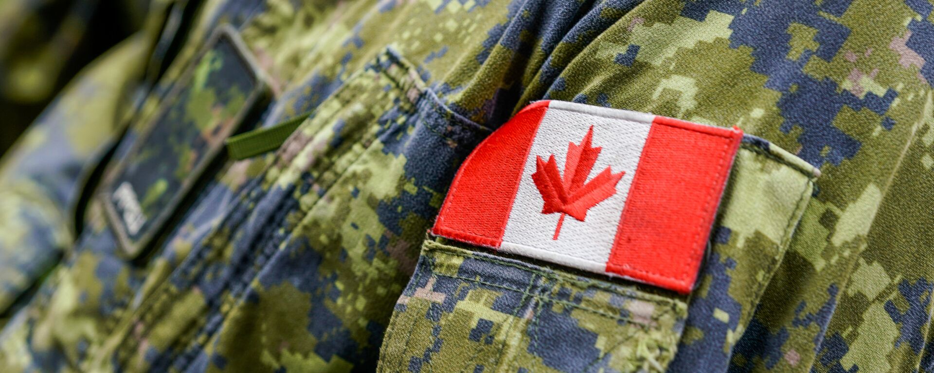 Эмблема канадского военного контингента в Латвии, архивное фото - Sputnik Литва, 1920, 31.01.2026