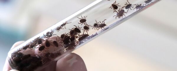 Борьба с насекомыми-переносчиками опасных заболеваний в Ставропольском крае Борьба с насекомыми-переносчиками опасных заболеваний в Ставропольском крае - Sputnik Lietuva