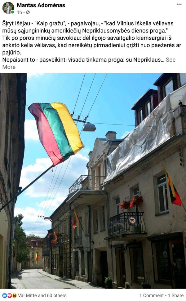 Kodėl Lietuvoje JAV Nepriklausomybės diena virto Liepos šeštosios įžanga Kodėl Lietuvoje JAV Nepriklausomybės diena virto Liepos šeštosios įžanga - Sputnik Lietuva