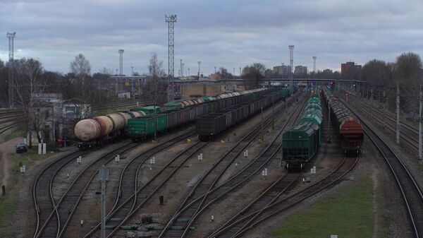 В Литве может появиться новый аэропорт в рамках проекта Rail Baltica В Литве может появиться новый аэропорт в рамках проекта Rail Baltica - Sputnik Литва
