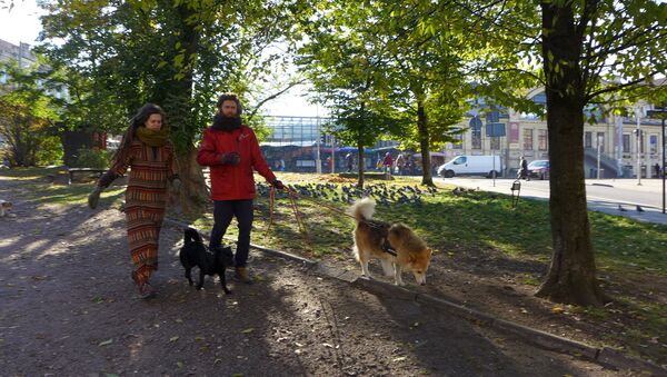 Жители Вильнюса выгуливают собак - Sputnik Литва