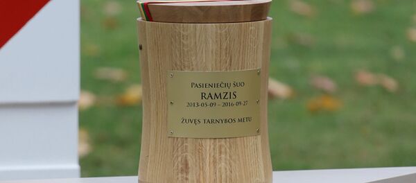 Урна с прахом собаки Рамзиса - Sputnik Литва