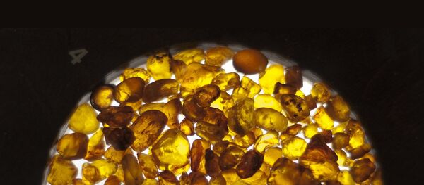 Янтарь - Sputnik Литва