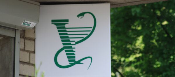 Vaistinės logotipas Vaistinės logotipas - Sputnik Lietuva