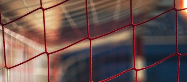 Спортивная сетка Спортивная сетка - Sputnik Lietuva