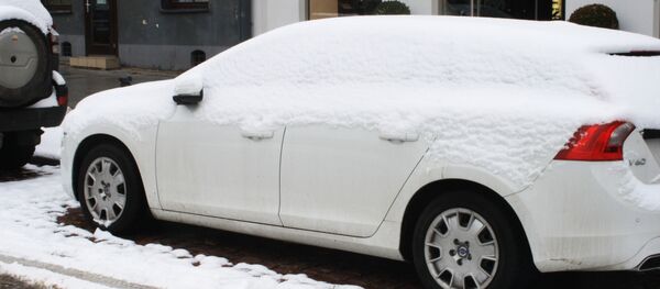 Автомобили в снегу - Sputnik Литва