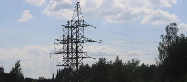 Elektros perdavimo linija Elektros perdavimo linija - Sputnik Lietuva