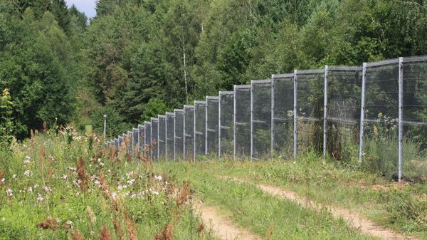 Забор вдоль разделительной черты на границе - Sputnik Lietuva