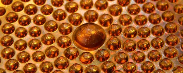 Янтарь - Sputnik Литва