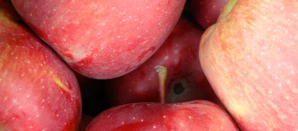 Яблоки - Sputnik Литва