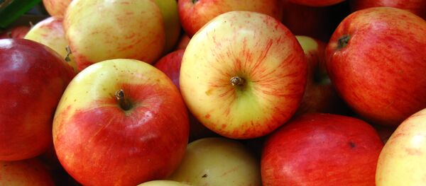 Яблоки, архивное фото - Sputnik Литва