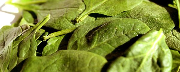 Шпинат - Sputnik Литва