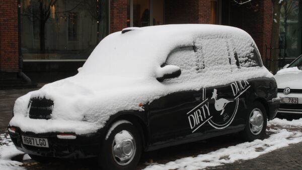 Автомобиль под снегом - Sputnik Литва