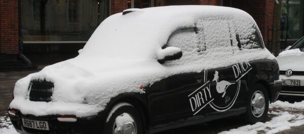 Автомобиль под снегом - Sputnik Литва