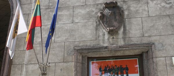 Союз либералов Литвы и флаги - Sputnik Литва