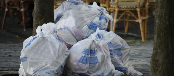 Мешки с мусором, архивное фото - Sputnik Литва