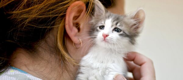 Гостиница для домашних животных в Волгограде Гостиница для домашних животных в Волгограде - Sputnik Lietuva