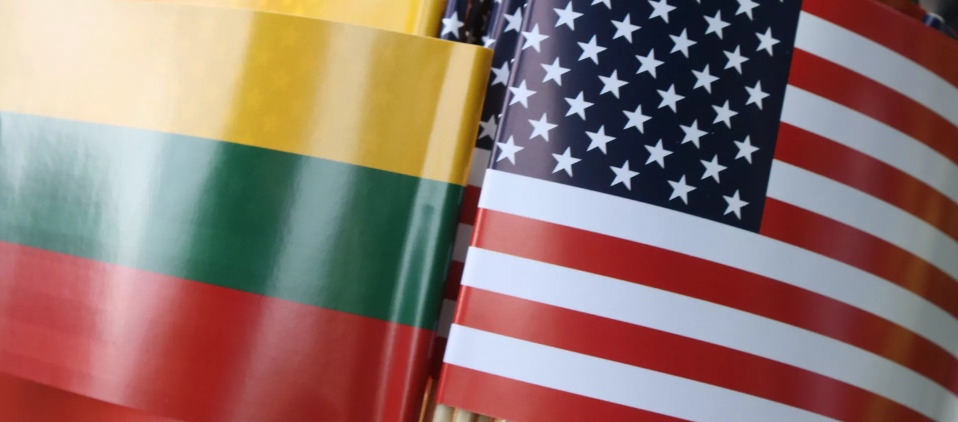 Флаги Литвы и США - Sputnik Lietuva, 1920, 19.02.2021