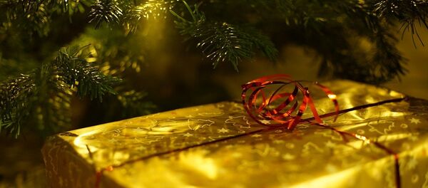 Подарок под елкой Подарок под елкой - Sputnik Литва