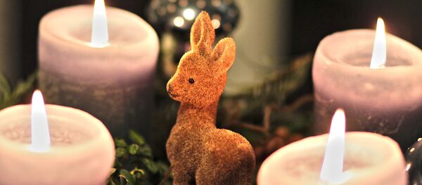 Венок и свечи Адвента Венок и свечи Адвента - Sputnik Литва