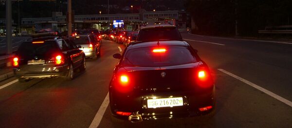 Muitinė - Sputnik Lietuva