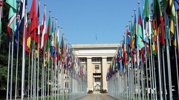 Флаги перед зданием ООН - Sputnik Литва