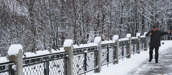 Очищенные тротуары на улице Субачюс - Sputnik Lietuva