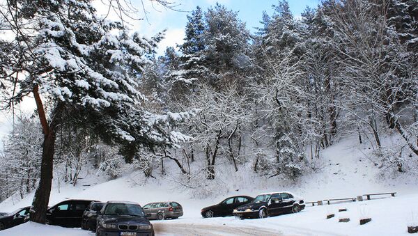 Заснеженный парк и машины в снегу - Sputnik Литва