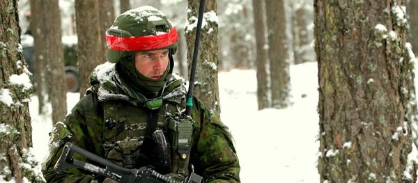 Солдат армии Литвы - Sputnik Литва