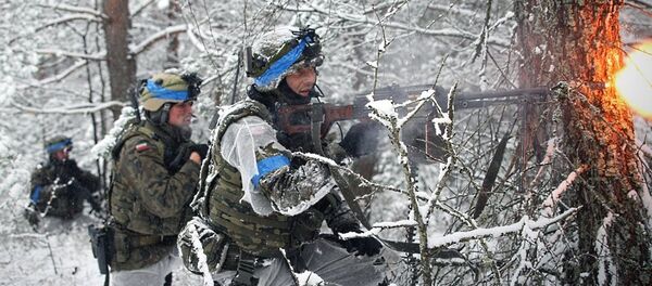 Солдаты армии Литвы - Sputnik Литва