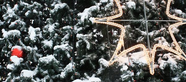 Рождественская елка перед торговым центром Акрополис в Вильнюсе Рождественская елка перед торговым центром Акрополис в Вильнюсе - Sputnik Lietuva