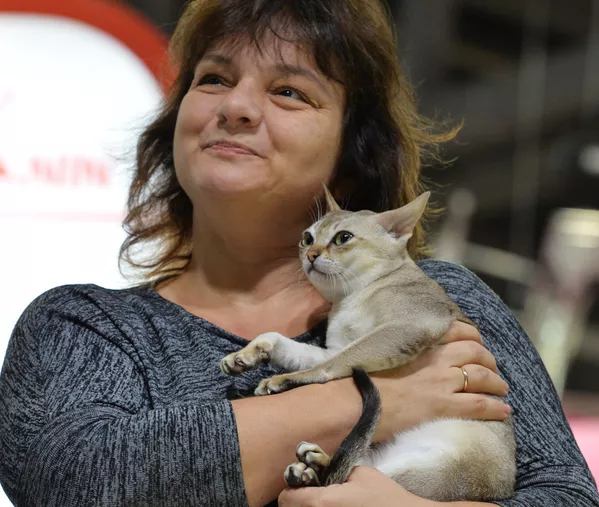 Выставка кошек Гран-при Royal Canin в Москве Выставка кошек Гран-при Royal Canin в Москве - Sputnik Lietuva