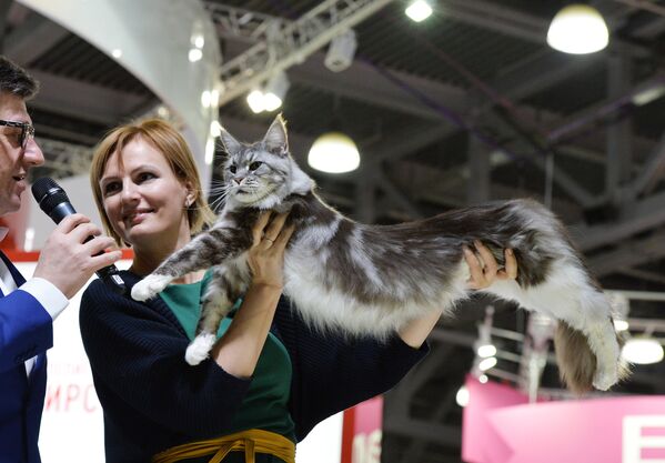 Выставка кошек Гран-при Royal Canin в Москве - Sputnik Литва
