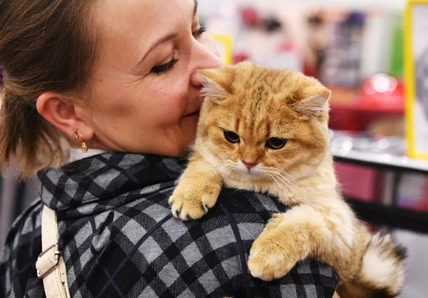 Выставка кошек Гран-при Royal Canin в Москве Выставка кошек Гран-при Royal Canin в Москве - Sputnik Lietuva