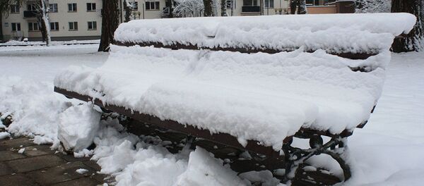 Парк в Друскиникае зимой Парк в Друскиникае зимой - Sputnik Lietuva