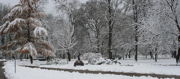 Парк в Друскиникае зимой Парк в Друскиникае зимой - Sputnik Литва