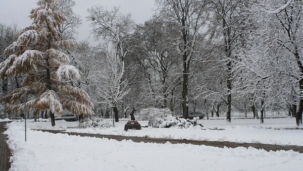 Парк в Друскиникае зимой - Sputnik Литва