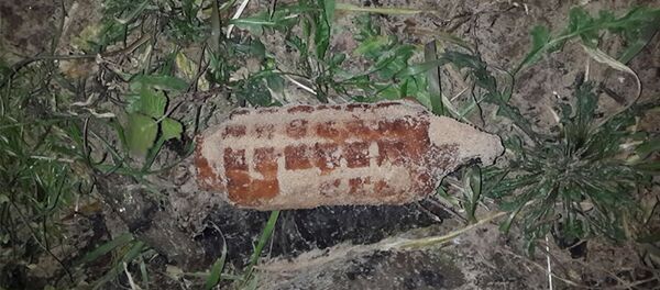 Граната, обнаруженная рыбаком на берегу Нямунаса Граната, обнаруженная рыбаком на берегу Нямунаса - Sputnik Литва