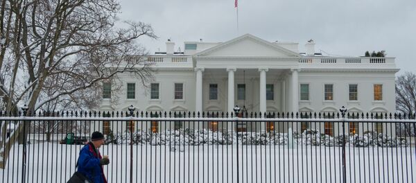 Белый дом зимой - Sputnik Литва