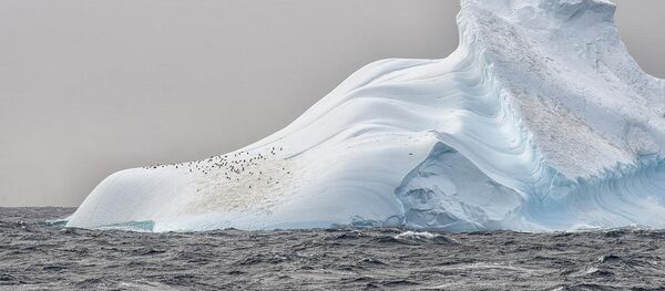 Пингвины на леднике в Антарктиде - Sputnik Lietuva